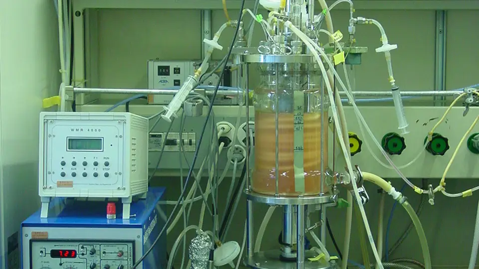 Biorreactor a pequeña escala de un laboratorio. En su interior se cultiva el alga y se mantiene controlado todo lo que entra y sale del mismo.