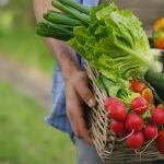Verduras y vegetales de a huerta