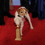 Uggie, durante la entrega de los Globos de Oro en 2012