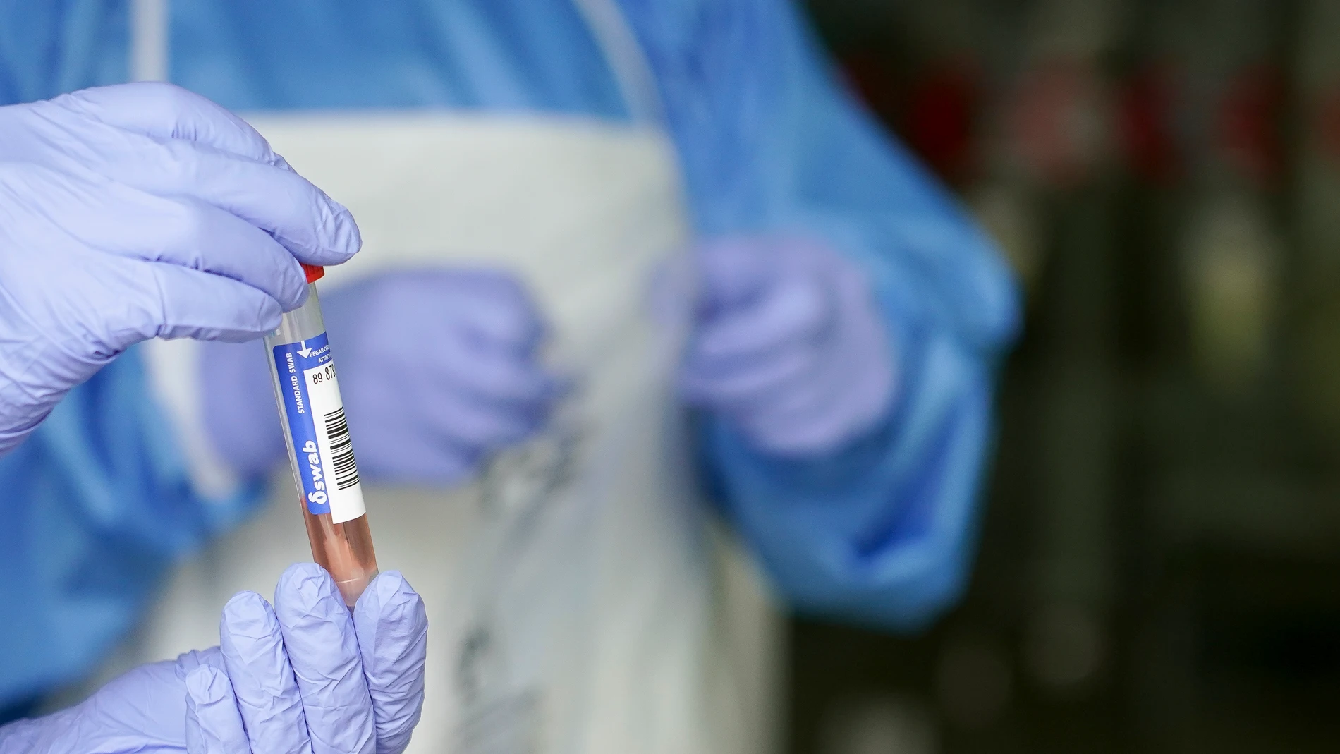 Análisis PCR en un local de la diputación de Bizkaia