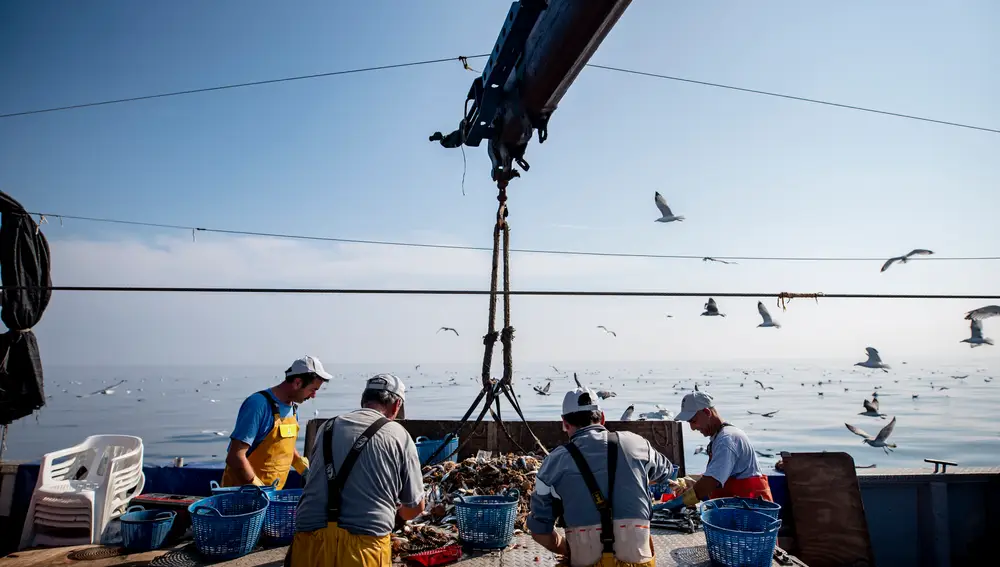 Pescadores separando los residuos obtenidos de la pesca