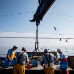 Pescadores separando los residuos obtenidos de la pesca