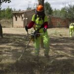 Trabajos forestales y de prevención de incendios que realizan las cuadrillas en la zona recreativa de Bretocino (Zamora)