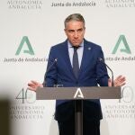 El consejero de la Presidencia, Administración Pública e Interior y portavoz del Gobierno andaluz, Elías Bendodo, en una imagen de archivo