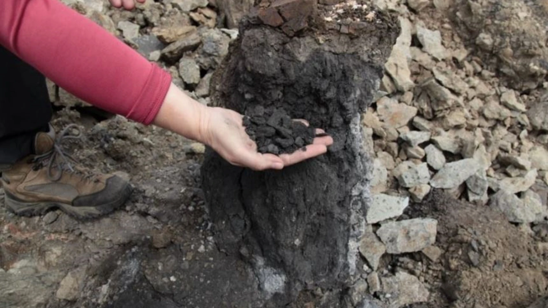 Una combustión masiva de carbón en Siberia causó la mayor extinción