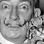 Salvador Dalí con un ocelote llamado Babou