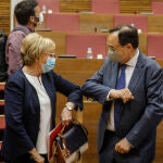 La consellera de Sanidad Universal y Salud Pública, Ana Barceló, saluda al conseller de Hacienda y Modelo Económico, Vicent Soler, saluda la durante la sesión de control al Consell de la Generalitat Valenciana en las Corts