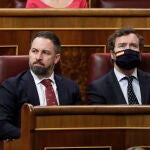 El presidente de Vox, Santiago Abascal y su portavoz, Iván Espinosa de los Monteros el pasado miércoles en el Congreso.