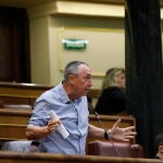 El portavoz de Compromís en el Congreso, Joan Baldoví