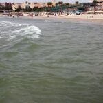 Prácticamente todas las playas andaluzas son aptas para el baño