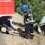 Accidente de tráfico la 17:45 horas en la N620, p.k. 11,500 en el término de Villamartín de Campos (Palencia) ha consistido en una salida de vía,por la márgen derecha, de un monovolumen con remolque para caballos el vehículo ha quedado semivolcado; el conductor ha podio salir por su propi pií pero la mujer que lo acompañaba ha tenido que ser excarcelado por bomberos de Palencia la encontrarse atrapada y herida en la cabeza