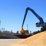 Nueva grúa instalada en el Puerto de Sevilla