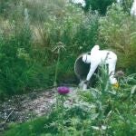 Agentes del Seprona realizan un muestro en un vertido ilegal de aguas fecales al río Manzanares en Getafe