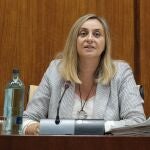 La consejera de Fomento, Marifrán Carazo, hace una semana durante su comparencia parlamentaria