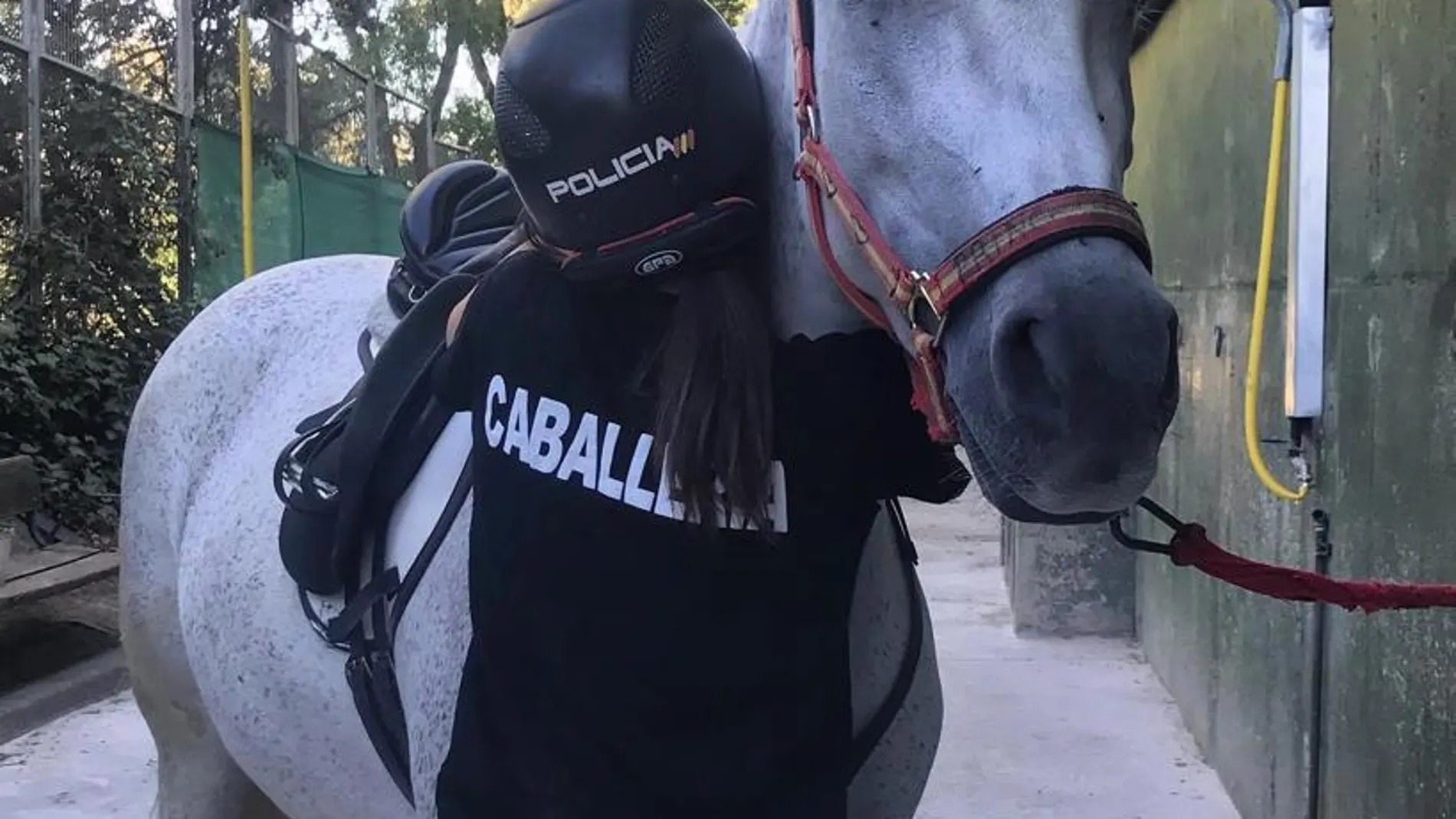 La Policía pone en marcha el "Plan Voraz", programa pionero para la adopción de sus caballos cuando acaban su vida laboral