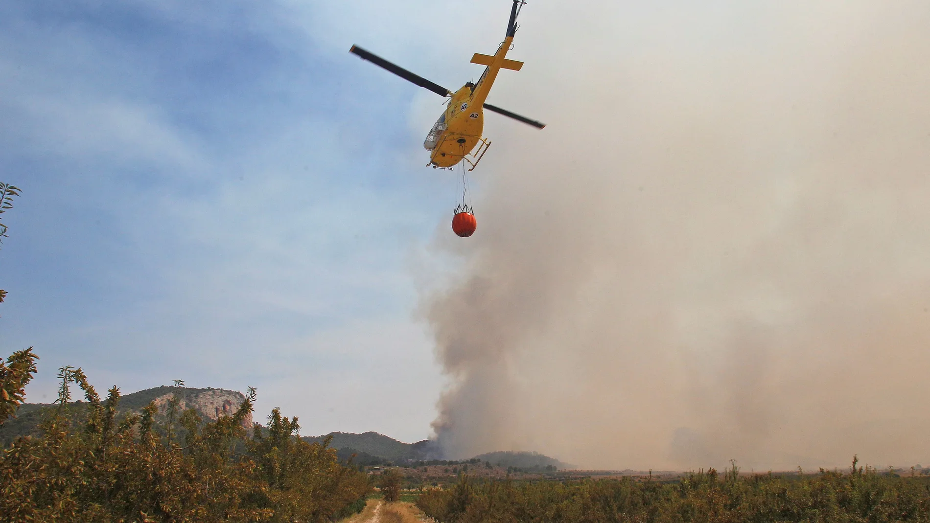 Se declara un incendio forestal en la localidad alicantina de Monóvar