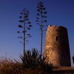 Dos personas pasean por la Senda del Litoral, un recorrido de 113 kilómetros al borde del Mediterráneo que atraviesa 14 municipios, ayer en el barrio de la Araña de Málaga