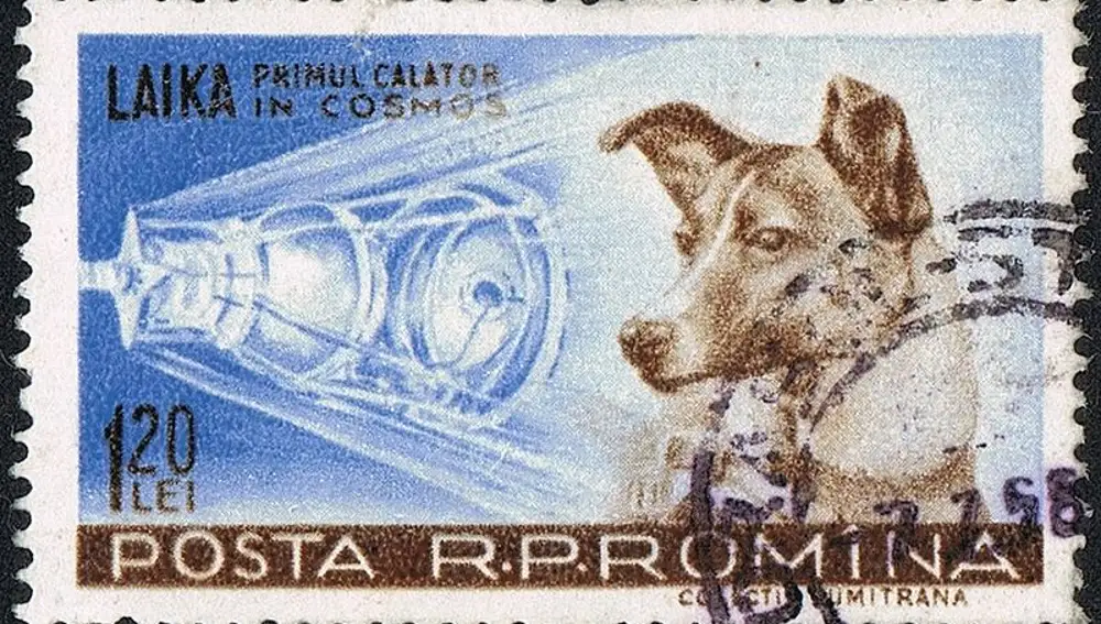Laika