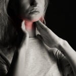 La tiroides es una glándula pequeña en forma de mariposa ubicada al frente del cuello