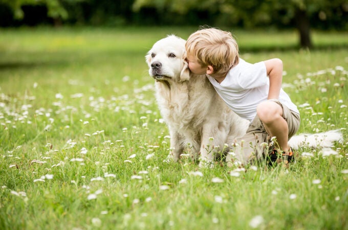 Es importante que los niños aprendan a relacionarse con los perros de la forma correcta | Fuente: Dreamstime