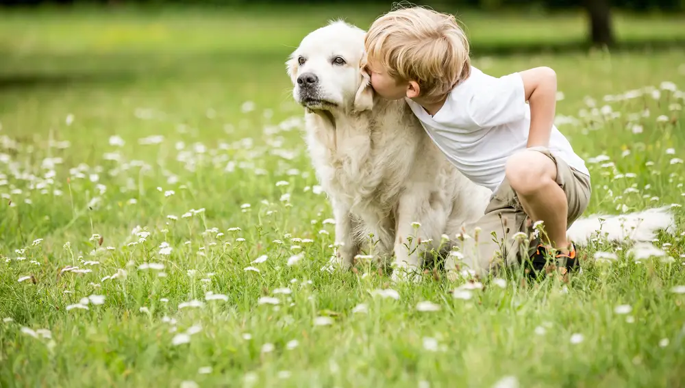 Es importante que los niños aprendan a relacionarse con los perros de la forma correcta | Fuente: Dreamstime