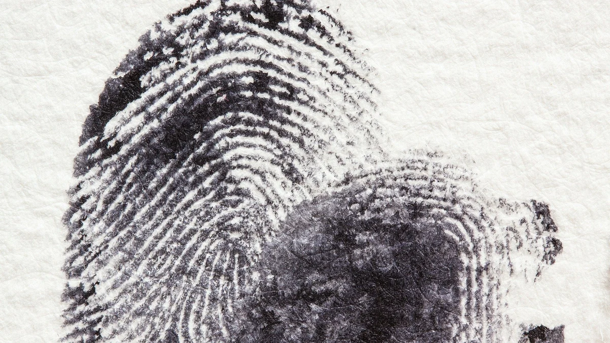 WhatsApp, ERTE, maltratos... ¿qué es lo que puede y no puede investigar un detective privado?