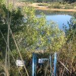 Entrada al Embalse de Navacerrada