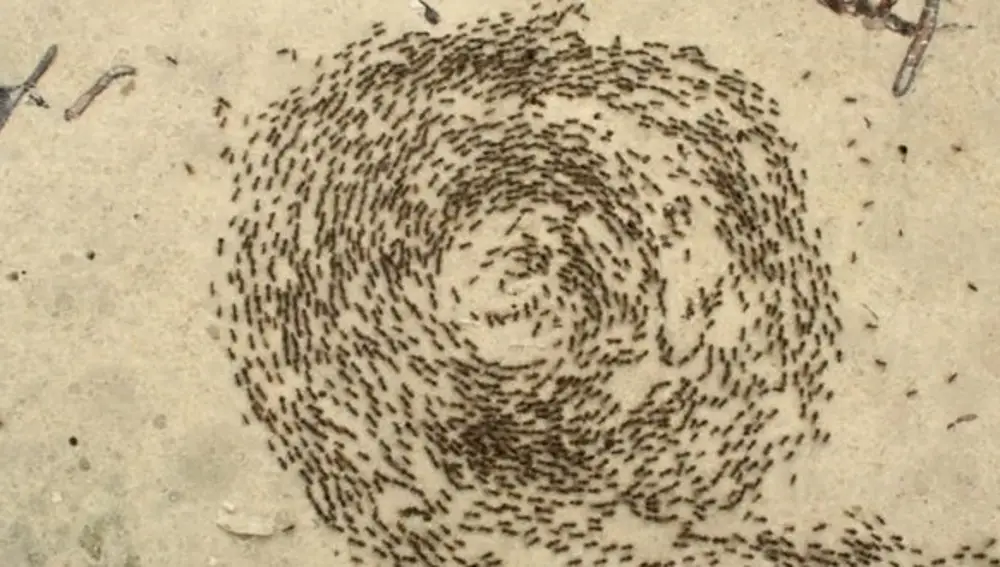 Espiral de la muerte