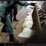 Agentes inspeccionan la droga que se ha incautado