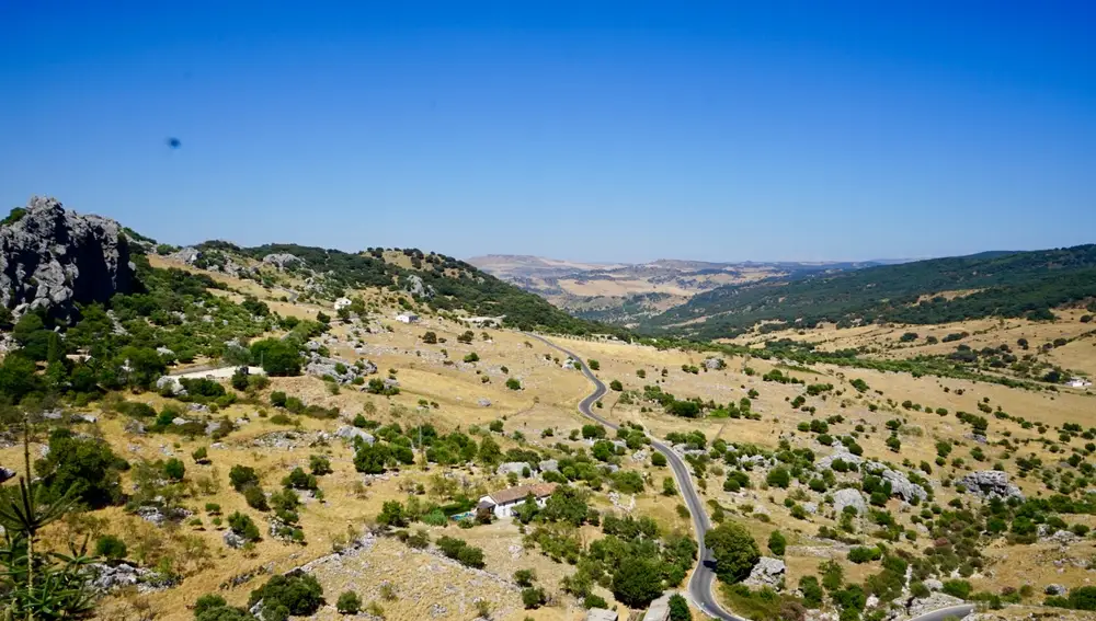 Así se ve la sinuosa carretera que lleva a Grazalema.