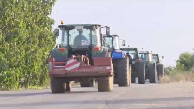 Protesta de los olivareros de Jaén