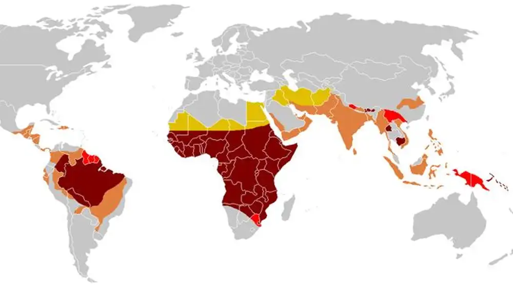 Riesgo de contraer malaria por P. Falciparum durante una estancia de menos de un mes. (Datos de 2006)