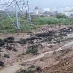 Fiscalía confirma a ANSE el traslado al Juzgado de la denuncia por vertido de hidrocarburos desde refinería de Cartagena