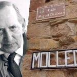 La calle de Miguel Delibes en Molledo
