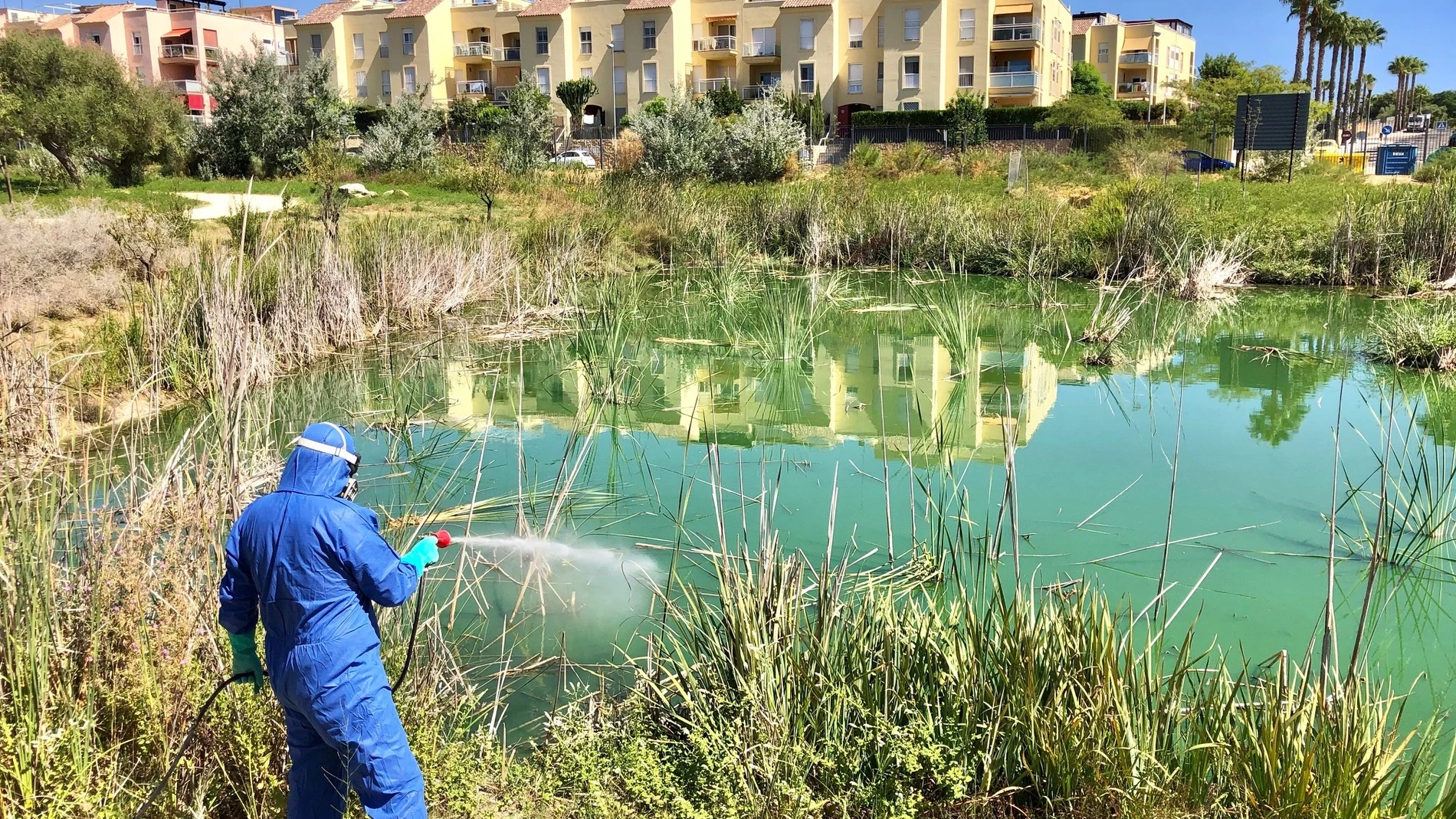 Sevilla.-Tomares fumiga las lagunas del parque Olivar del Zaudín para prevenir el virus del Nilo