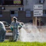 Dos trabajadores durante las labores de fumigación contra los mosquitos causantes del virus del Nilo en Coria del Río