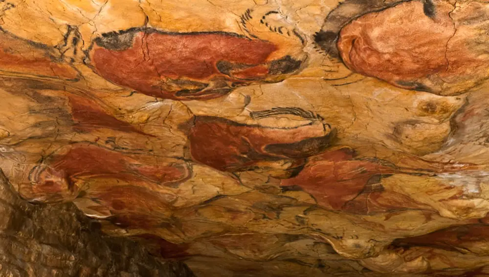 Techo Cueva de Altamira
