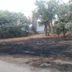 Lugar del incendio junto a la valla posterior del centro de menas de la Casa de Campo