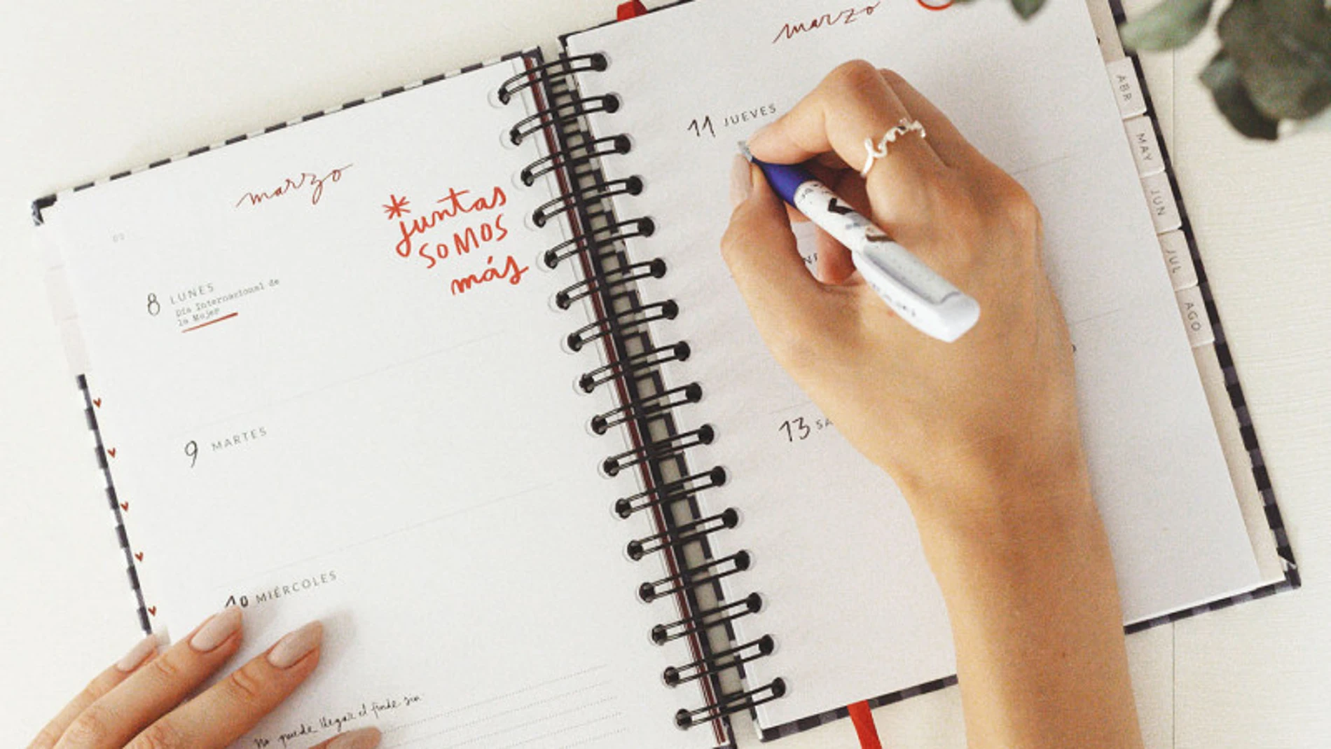 Las agendas perfectas para empezar septiembre.