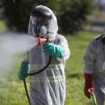 La Junta fumigará con drones las zonas de la ribera y los municipios de la zona llevan semanas fumigando