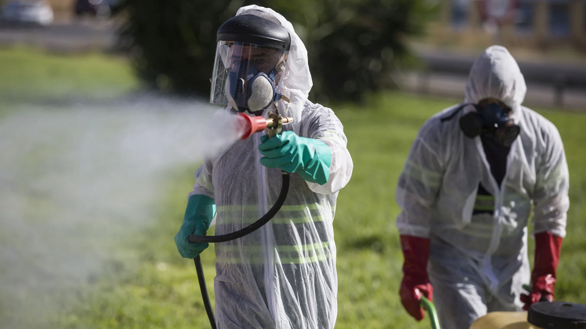 La Junta fumigará con drones las zonas de la ribera y los municipios de la zona llevan semanas fumigando