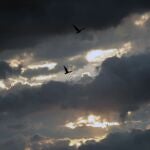 Semana de lluvias y tormentas 
