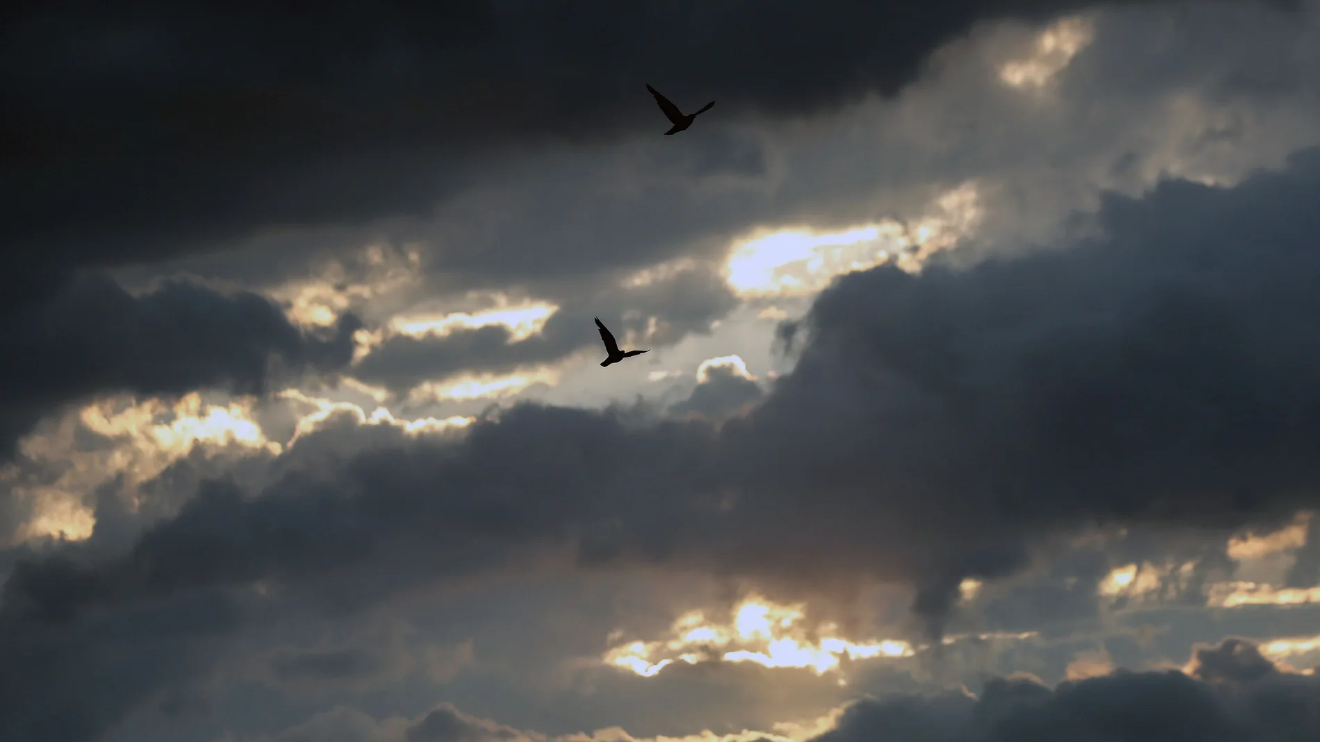 Semana de lluvias y tormentas