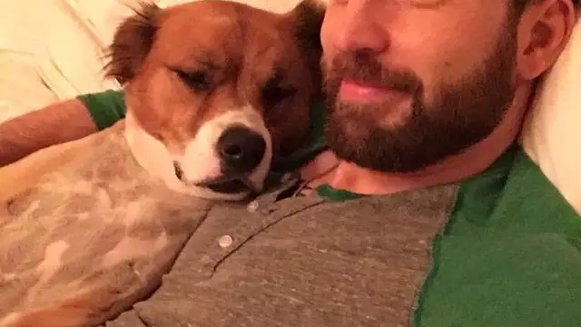 El actor con su mascota