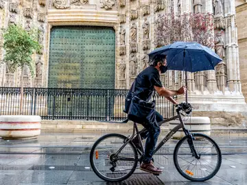 Un ciclista paraguas por la Av. de la Constitución, en una mañana lluviosa en Sevilla Un ciclista paraguas por la Av. de la Constitución, en una mañana lluviosa en Sevilla