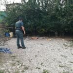 Detienen a un hombre por matar a golpes a un perro en Aguilar de Campoó