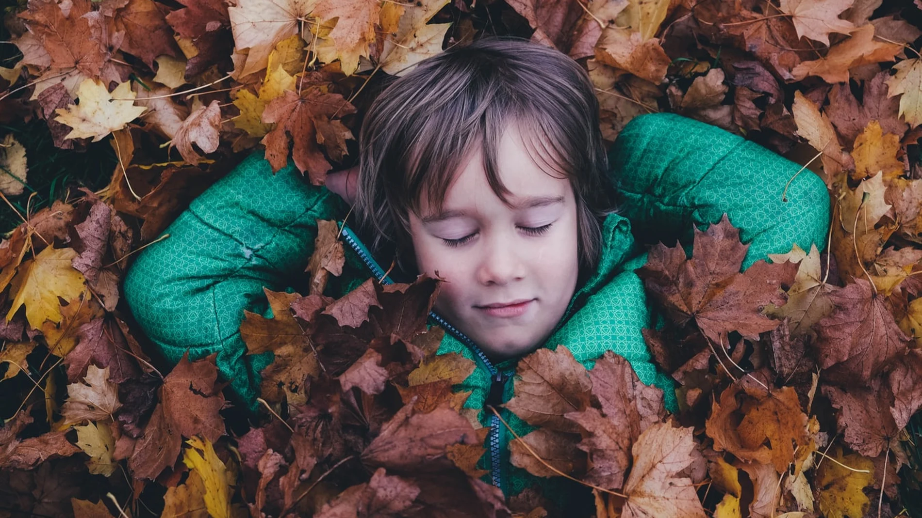 Solo un 8,3% de los niños con trastorno del espectro autista que tienen problemas de sueño en las primeras etapas de la vida mejoran espontáneamente, mientras que la cifra alcanza el 52% en el caso de los niños con desarrollo neurotípico.