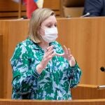 La consejera de Familia e Igualdad de Oportunidades, Isabel Blanco, defiende en las Cortes la propuesta
