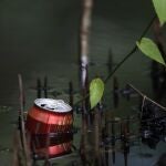 Fotografía de basura en un manglar en la Zona de Baja Mar, que subsiste por las aguas costeras de la zona costera del pacífico central de Costa Rica