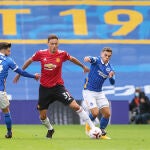 Nemanja Matic ha elegido no llevar el Poppy que recuerda a los caídos en la Primera Guerra Mundial cada mes de noviembre